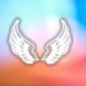 Meet your Posher, Grace in